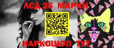 гашик Абакан