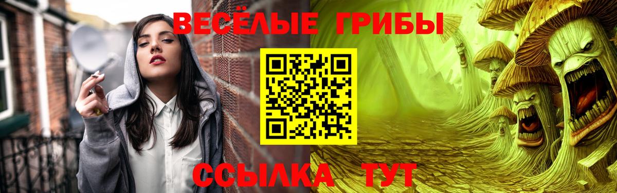 Псилоцибиновые грибы ЛСД  Вход с VPN  Азнакаево  Псилоцибиновые грибы Psilocybine cubensis 